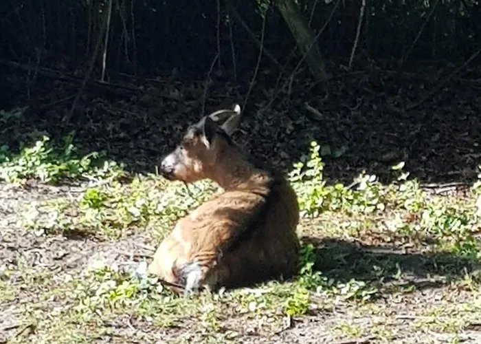 Du Moulin Bed & Breakfast